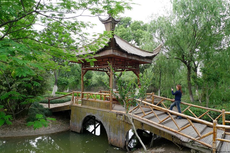 bamboo-bridge